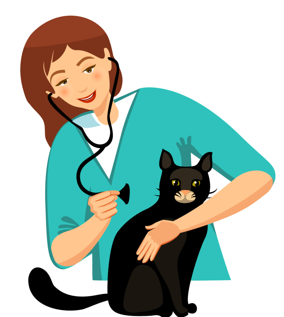 Pet Check Ups Covington